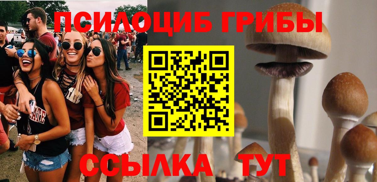 Красный Сулин  Галлюциногенные грибы прущие грибы  Вход с VPN 