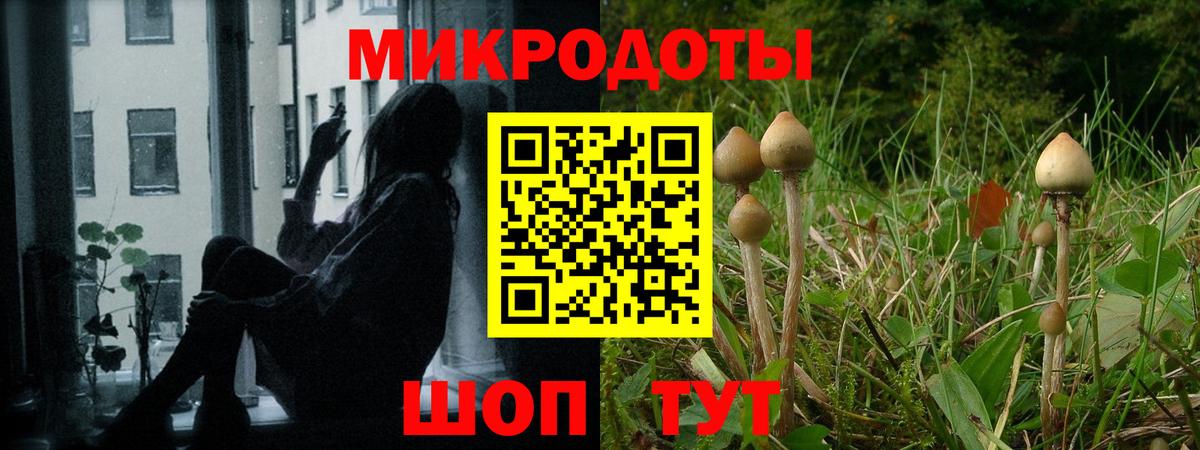 Галлюциногенные грибы ЛСД Красный Сулин